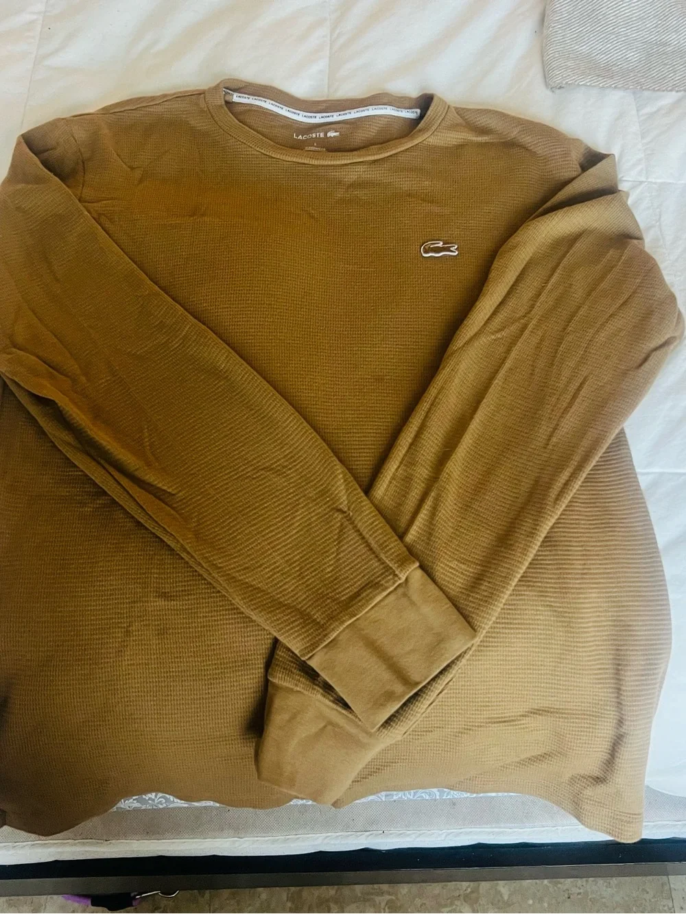Lacoste Boy’s Crewneck Sweater in Mustard Brown